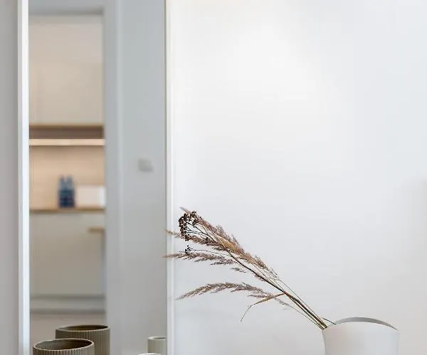 Balticus 19a By Renters